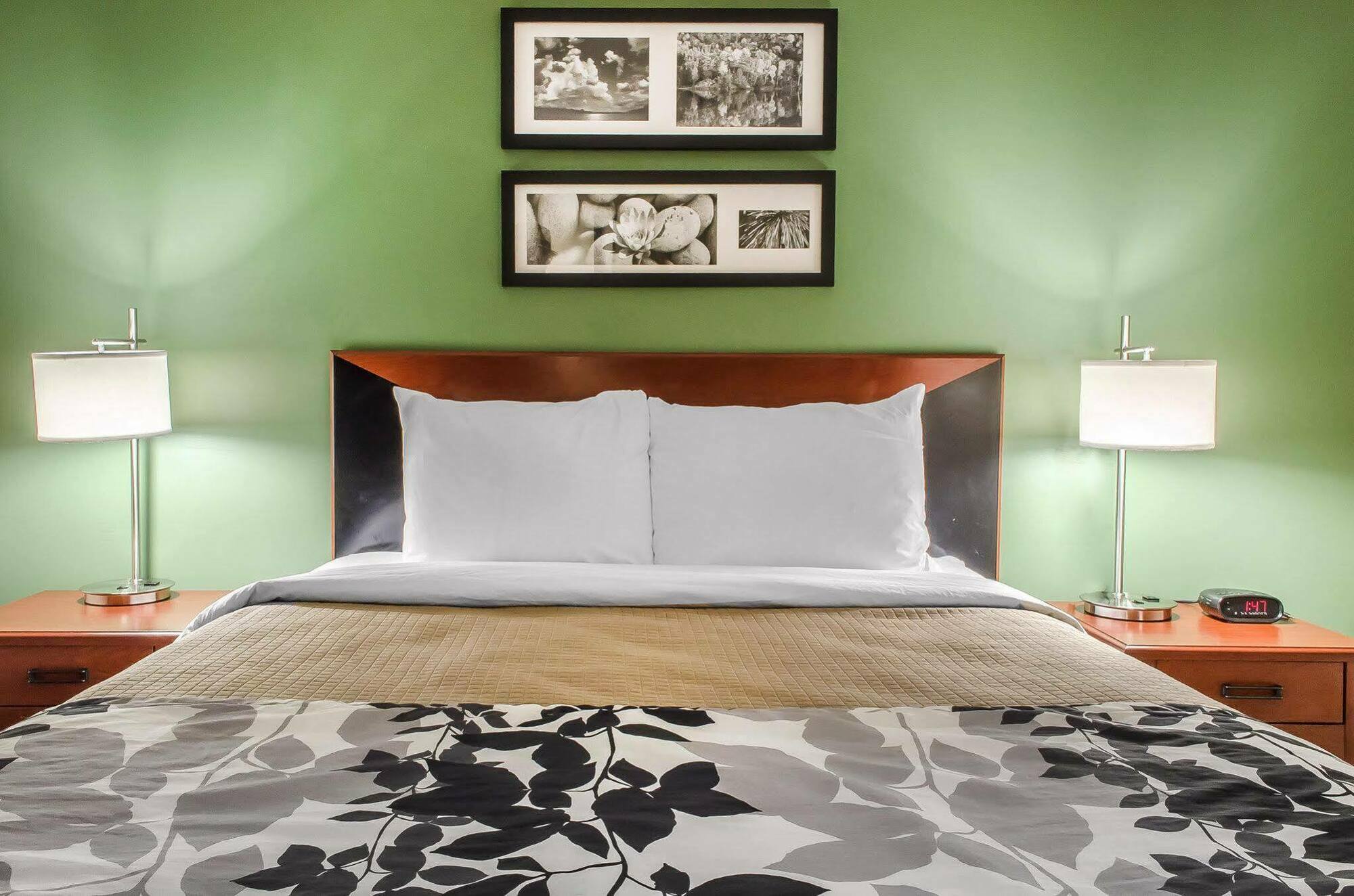 Sleep Inn Near Penn State - State College, Pa Екстериор снимка